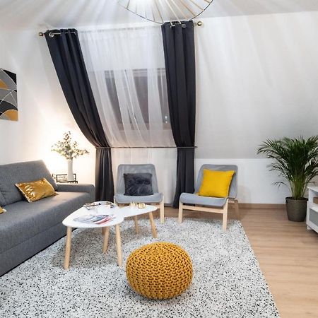 Superbe Appartement Au Coeur Du Colmar Esterno foto