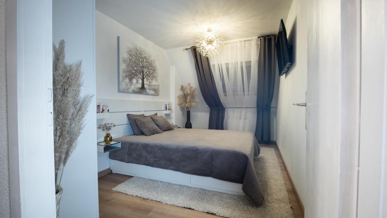 Superbe Appartement Au Coeur Du Colmar Esterno foto