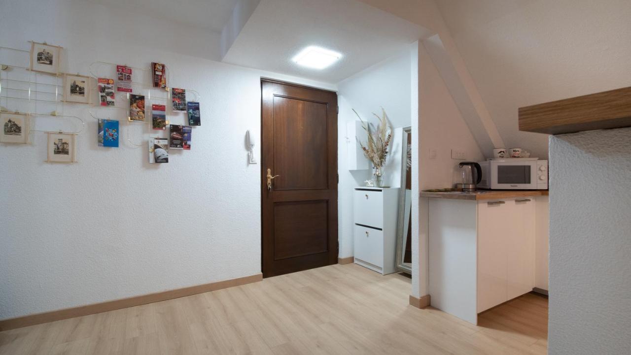 Superbe Appartement Au Coeur Du Colmar Esterno foto
