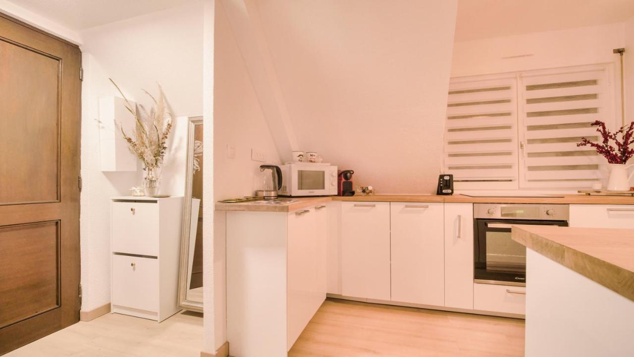 Superbe Appartement Au Coeur Du Colmar Esterno foto